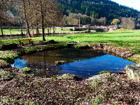 Fish Pond Panoramio Dg 505