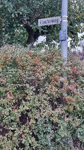 Flachsweg (Neu Ulm) Straßenschild