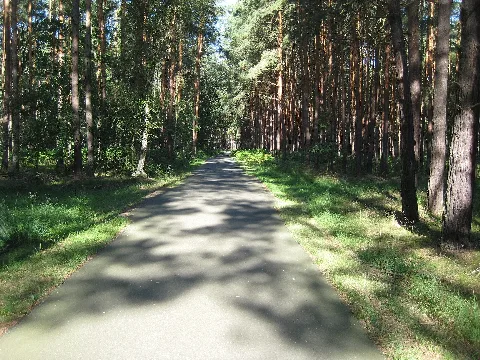 Fläming Skate Strecke Rk1 Zwischen Stülpe Und Holbeck Panoramio