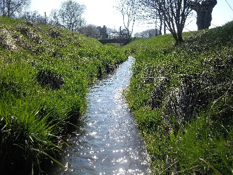Fleischbach In Freist 2