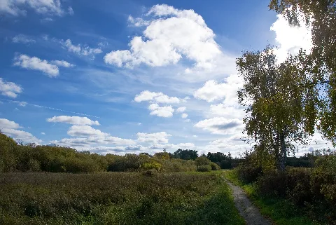 Flickr Laenulfean Autumns Landscape