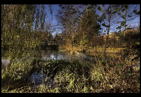 Flickr Laenulfean Bridge At A Pond