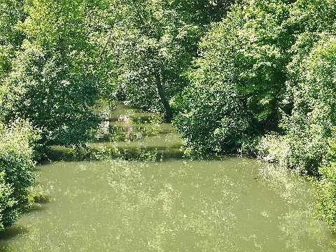 Fluss Nagold Panoramio