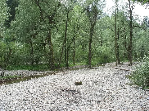 Flussbett Im Auslauf Der Starzlachklamm Panoramio