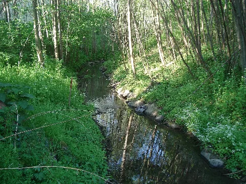 Flutgraben