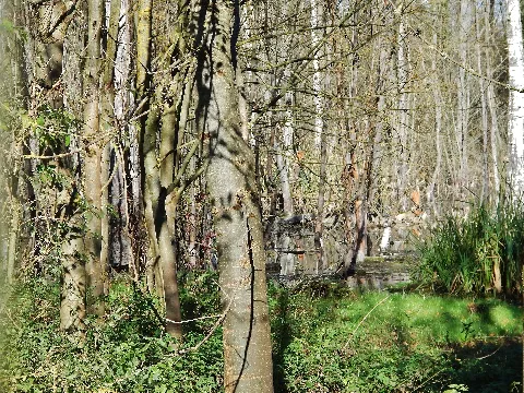 Flutgraben Und Schwippe Panoramio