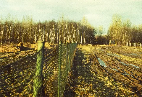 Förster Funke Allee Feldweg (2)