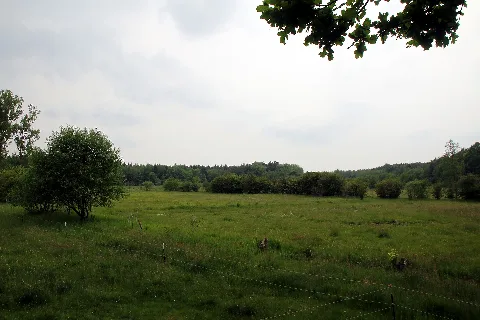 Fohlenweide Bei Dieburg
