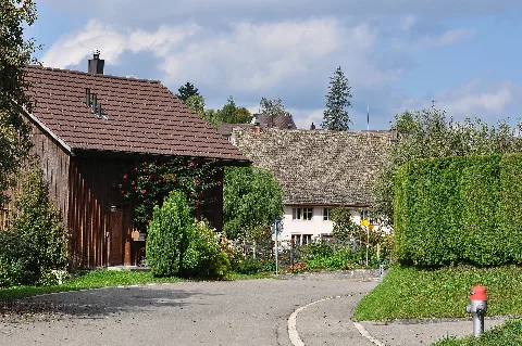 Forch Img 3899