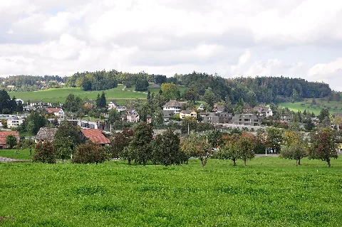 Forch Img 3903