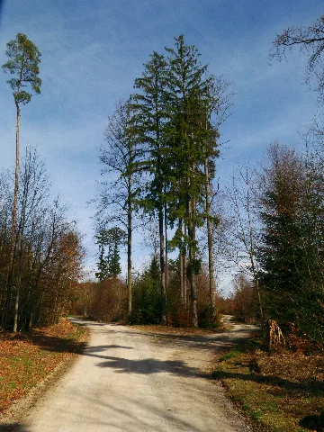 Fork And Shadows Panoramio