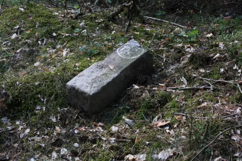 Forstabteilungsstein Duebener Heide (3)