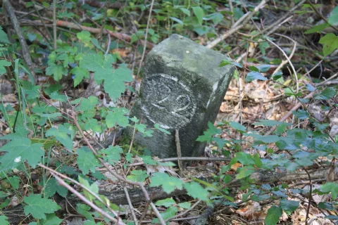 Forstabteilungsstein Reinharzer Forst (2)