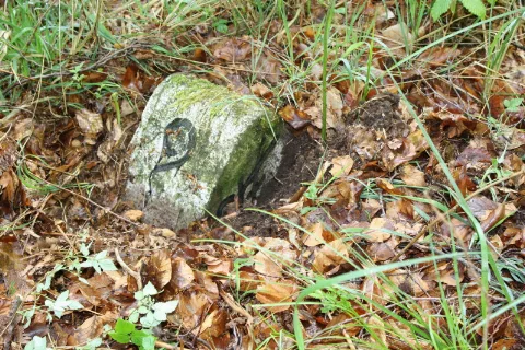 Forstgrenzstein Dh 3