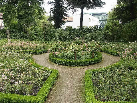 Franz.garten Celle Rosengarten 01