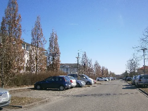 Franzbuchholz Mazetstraße Ost