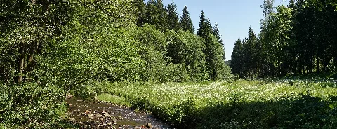 Freiberger Mulde Bei Holzhau Kol2