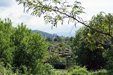 Freiburg Blick Auf Innenstadt