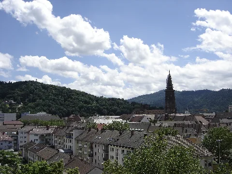 Freiburg Blick Vom Fahnenbergplatz Auf Münster 1