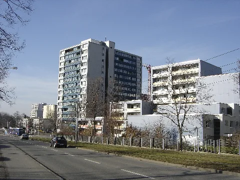 Freiburg Weingarten 3