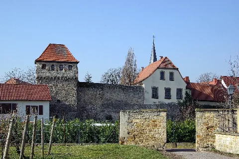 Freinsheim Bw 16