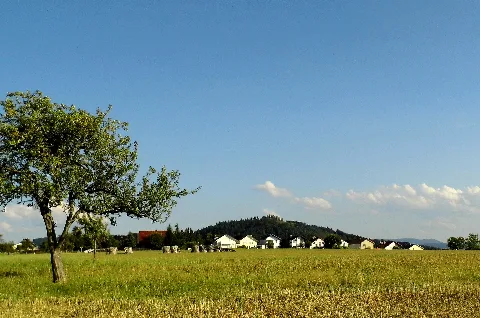 Freiolsheim Mit Blick Zum Mahlberg Panoramio