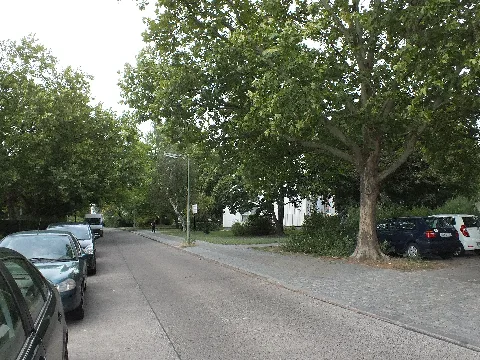 Freudenberger Weg