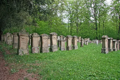Freudental 2. Jüdischer Friedhof 2010