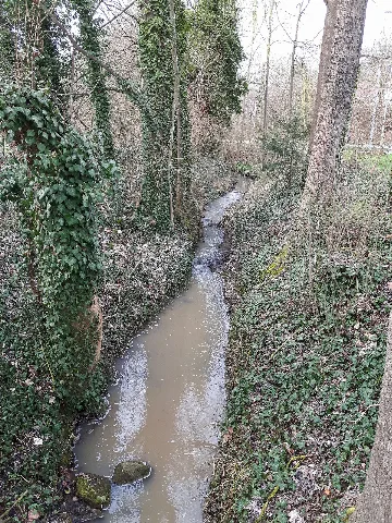 Freudental Steinbach 1