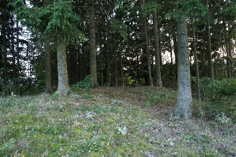 Friedberg Ehrenschachen Grabhuegel Oberwaldbauern