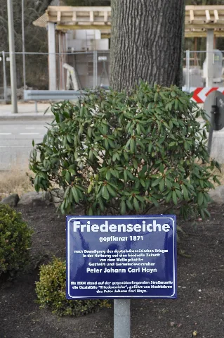 Friedenseiche Hamburg Wellingsbüttel.tafel.ajb