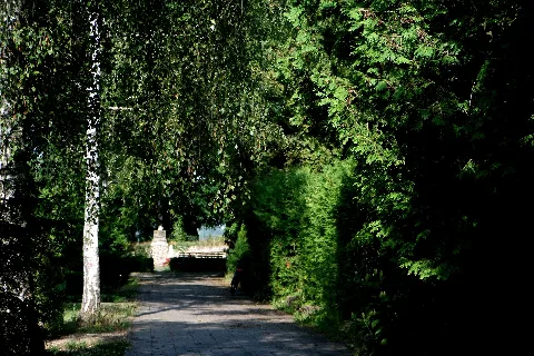 Friedhof Alt Olvenstdedt1