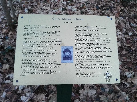 Evangelischer Friedhof Berlin-Wilhelmshagen (Saarower Weg 51), Abt. C, Reihe 9, Tafel an der Grabstätte für Clara Müller-Jahnke