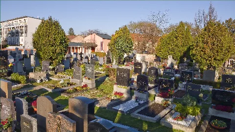 Friedhof Erlaa 02