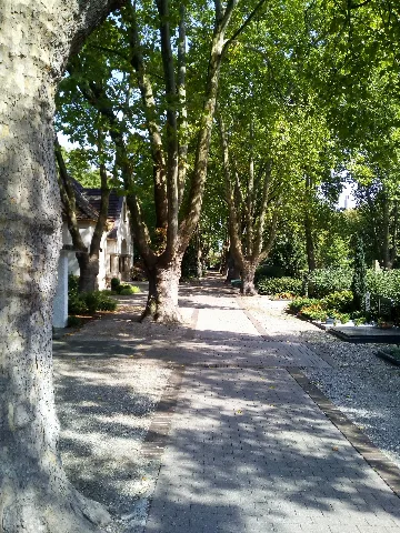 Friedhof Ludwigshafen Oppau