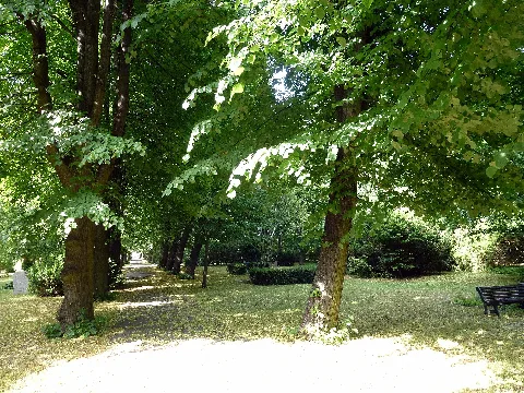 Friedhof Priesterweg Hauptweg