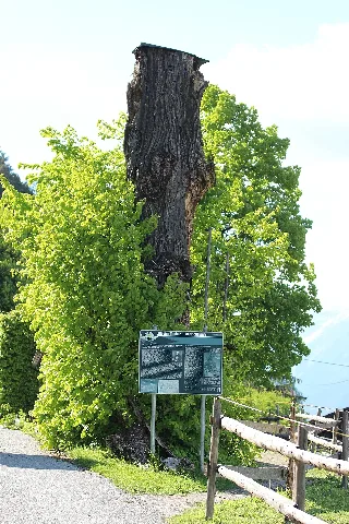 Friedrichslinde