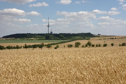 Frohser Berg Bei Magdeburg