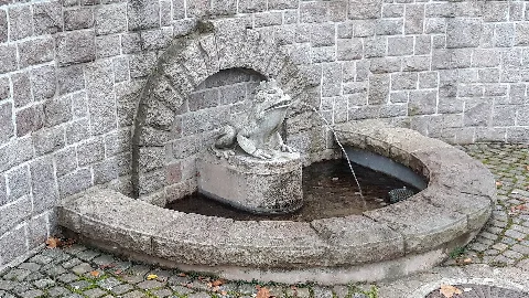 Frosch Wasserspiel In Vielau