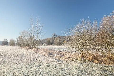 Frosty Morning (185552515)