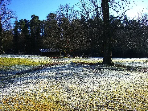 Frozen Nature Panoramio