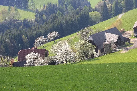 Frühling Im Aichfeld Murtalblicktour Panoramio