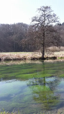 Frühling Im Eselsburger Tal, Deutschland