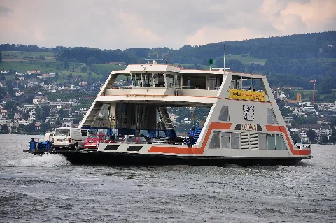 Fs Schwan Horgen 2010 08 13 17 46 00