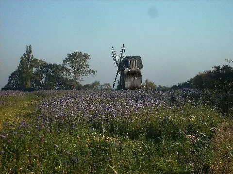 Fuchshainwindmühle