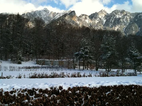 Fürstenwald