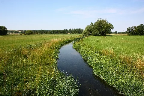 Fuhne Bei Wieskau2