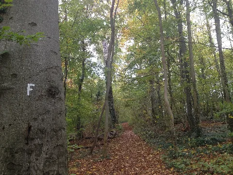 Fulda Diemel Weg Prinzenquelle Hessenschanze