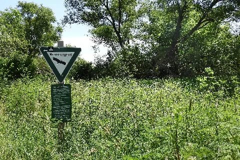 Fuldatal Bei Konnefeld (1)