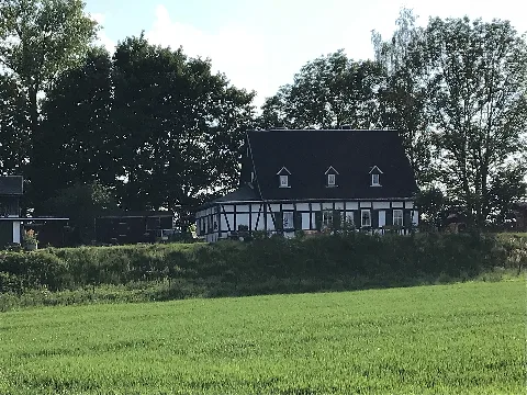 Fundgrube Jung Wildschwein (3)